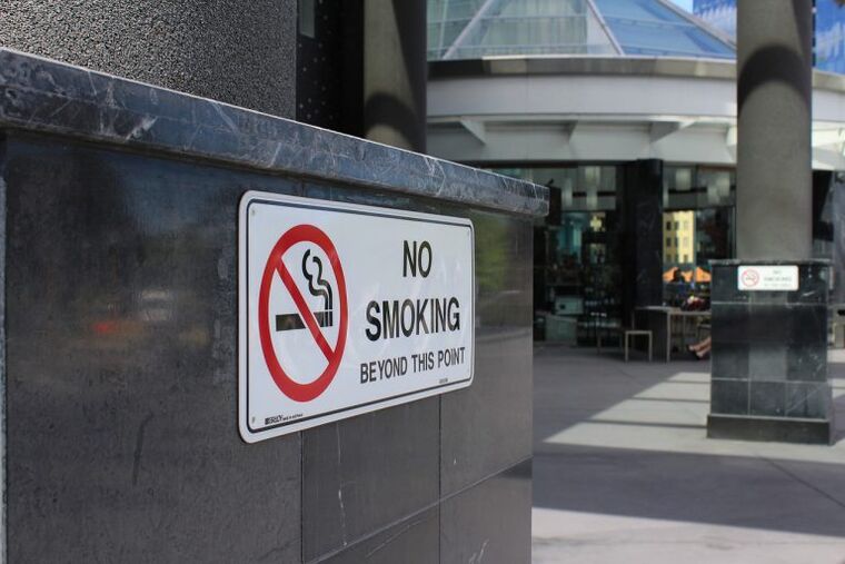 the ban on smoking in public places encourages quitting smoking